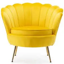 Armchair cleaning