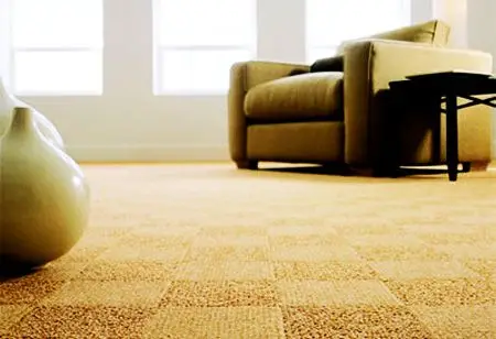 Carpet cleaning