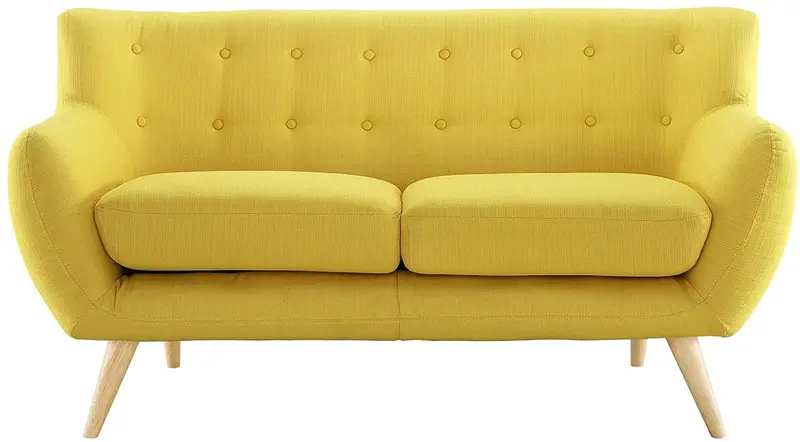 Loveseat cleaning