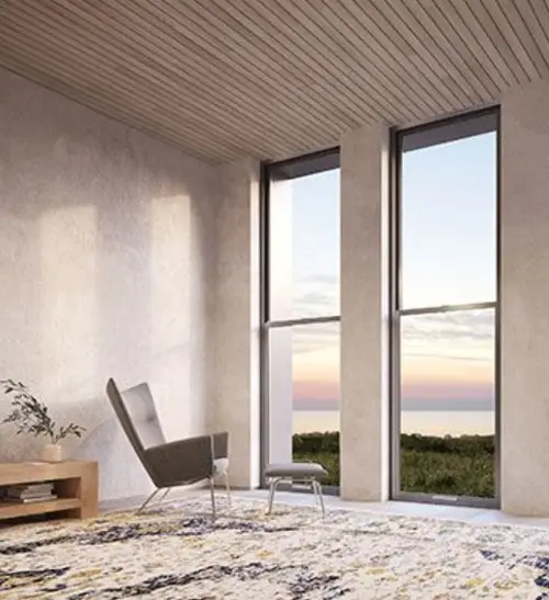 Tall living room windows